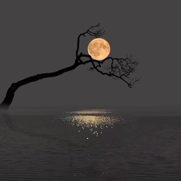 📦SHIPPING LABELS 📦🌕🧜🏻‍♀️🌊🦀🧜‍♀️🧜🏼‍♂️ - Picture 6 of 10